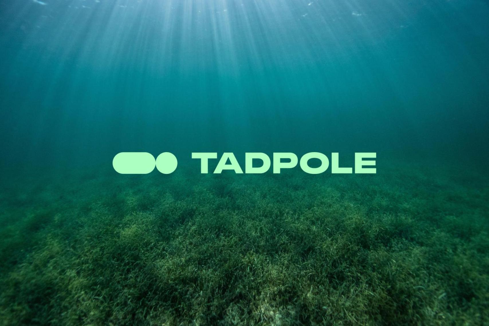 Tadpole identity